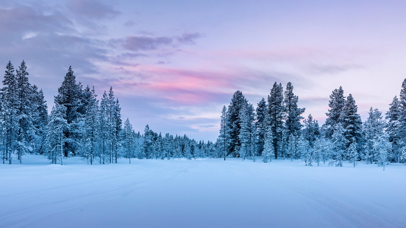 바빠도 내 관심사는 클릭!